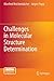 Challenges in Molecular Structure Determination by Manfred Reichenb?cher (2012-03-22)