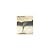 Tornado by Chambers, Catherine [Heinemann,2007] (Paperback) 2nd Edition