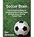 (Soccer Brain: The 4C Coaching Model for Developing World Class Player Mindsets and a Winning Football Team) [By: Abrahams, Dan] [Jun, 2013]