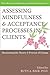 Assessing Mindfulness and Acceptance: Illuminating the Theory and Practice of Change (Professional) (Mindfulness & Acceptance Practica) by Ruth Baer (2010-06-22)