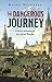The Dangerous Journey by Moshe Weinberg