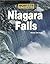 Wonders of the World - Niagara Falls by Wendy Tokunaga (2003-10-24)