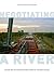 Negotiating a River: Canada, the US, and the Creation of the St. Lawrence Seaway (Nature, History, Society) by Macfarlane, Daniel (2014) Paperback