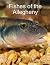 Fishes of the Allegheny