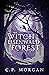 The Witch of Eisenwald Forest
