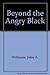 Beyond the Angry Black by John A. Williams (1966-06-01)