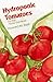 Hydroponic Tomatoes: For the Home Gardener by Howard M. Resh (1993-03-02)