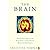 The Brain An Introduction to the Psychology BYTemple