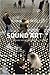 Sound Art: Beyond Music, Between Categories by Alan Licht (2007-11-06)
