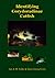Identifying Corydoradine Catfish by Ian Fuller (2005-06-01)