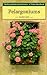 Pelargoniums (Wisley Handbook) by Hazel Key by Hazel Key