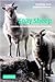 Soay Sheep: Dynamics and Selection in an Island Population (2004-03-04)