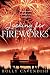 Looking for Fireworks by Holly Cavendish (2012-10-11)