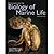 Introduction tothe Biology of Marine Life 10th (Tenth) Editio... by Morrissey
