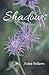 Shadows by Jules Nelson by Jules Nelson