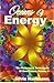 Oceans Of Energy: v.1: The Patterns and Techniques of EmoTrance: Vol 1 by Dr. Silvia Hartmann (2003-02-01)