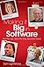 Making it Big in Software: Get the Job. Work the Org. Become Great. by Sam Lightstone (2010-03-10)