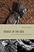 Bodies in the Bog and the Archaeological Imagination by Sanders, Karin (2009) Paperback