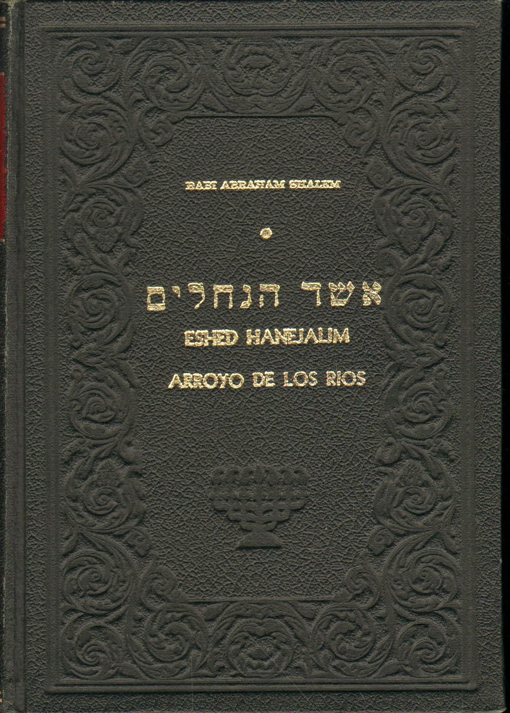 Eshed Hanejalim : Arroyo De Los Rios (Hardcover)