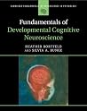 Fundamentals of D...