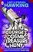 [George's Cosmic Treasure Hunt (George's Secret Key to the Un... by Lucy Hawking