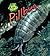 Pillbug by St. Pierre, Stephanie [Heinemann,2008] (Paperback) 2nd Edition