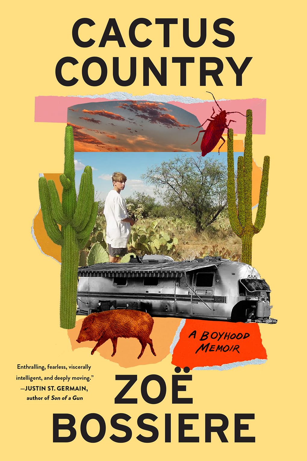 Cactus Country: A Boyhood Memoir (Hardcover)