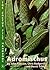 Adromischus: The Cactus File Handbook: The Cacts File Handbook by John Pilbeam (1998-05-01)