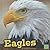 Eagles (Birds)