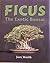 Ficus by Jerry Meislik