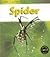 Life Cycle of a Spider