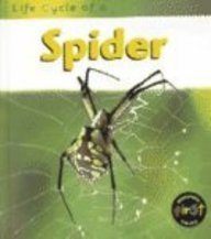 Life Cycle of a Spider (Library Binding)
