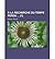 a la Recherche Du Temps Perdu (1)(Paperback) - 2013 Edition