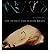 [(The Intact and Sliced Brain)] [Author: Mircea Steriade] published on (November, 2001)