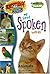 My First Spoken Words: Animals (Smart Kids Talking Books: My First Spoken Words) by Linda P. Acredolo (2007-10-03)