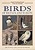 Birds of Britain and Europe (Photographic Field Guide)