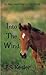 Into the Wind