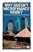 Why Doesn't Microfinance Work?: The Destructive Rise of Local Neoliberalism by Milford Bateman (2010-06-10)