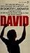 David : A Mother's Story of her Son's Recovery from a Coma and Brain Damage