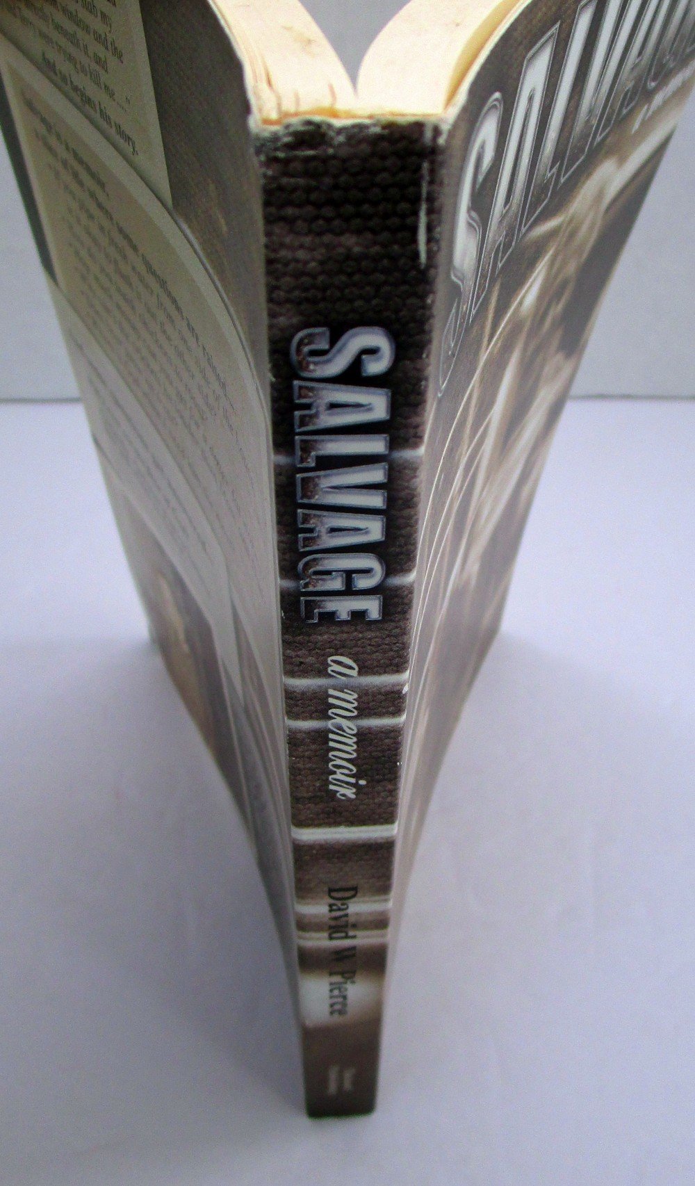 Salvage - Memoir (Paperback)