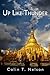 Up Like Thunder: Pete Chandler Travels the World by Colin T Nelson (2015-05-23)