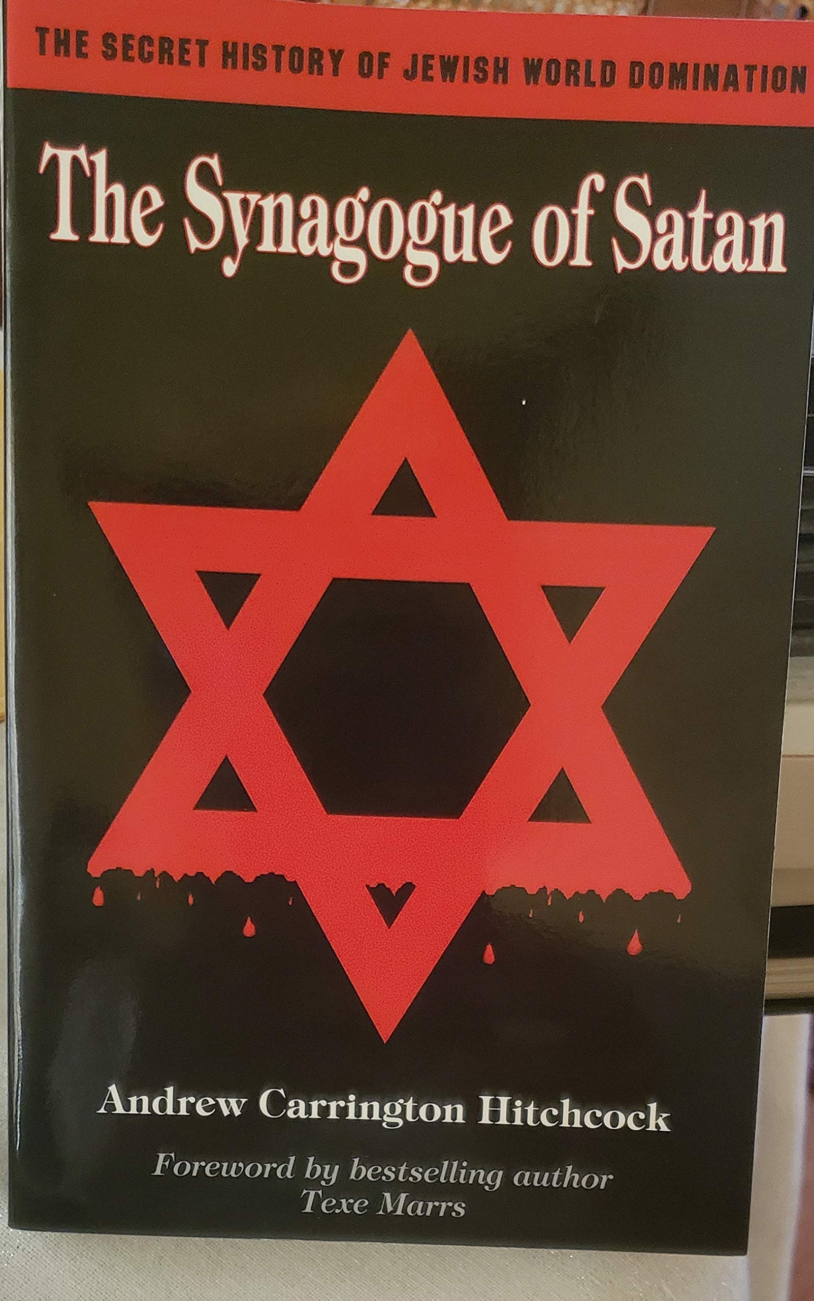 The Synagogue of Satan: The Secret History of Jewish World Domination (Paperback)