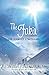 The Fakir the Journey Continues: Journey Continues by Ruzbeh Nari Bharucha (2010-01-01)