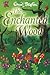 The Enchanted Wood by Enid Blyton (2002-01-01)