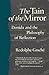 The Tain of the Mirror: Derrida and the Philosophy of Reflection by Rodolphe Gasché (1988-10-15)