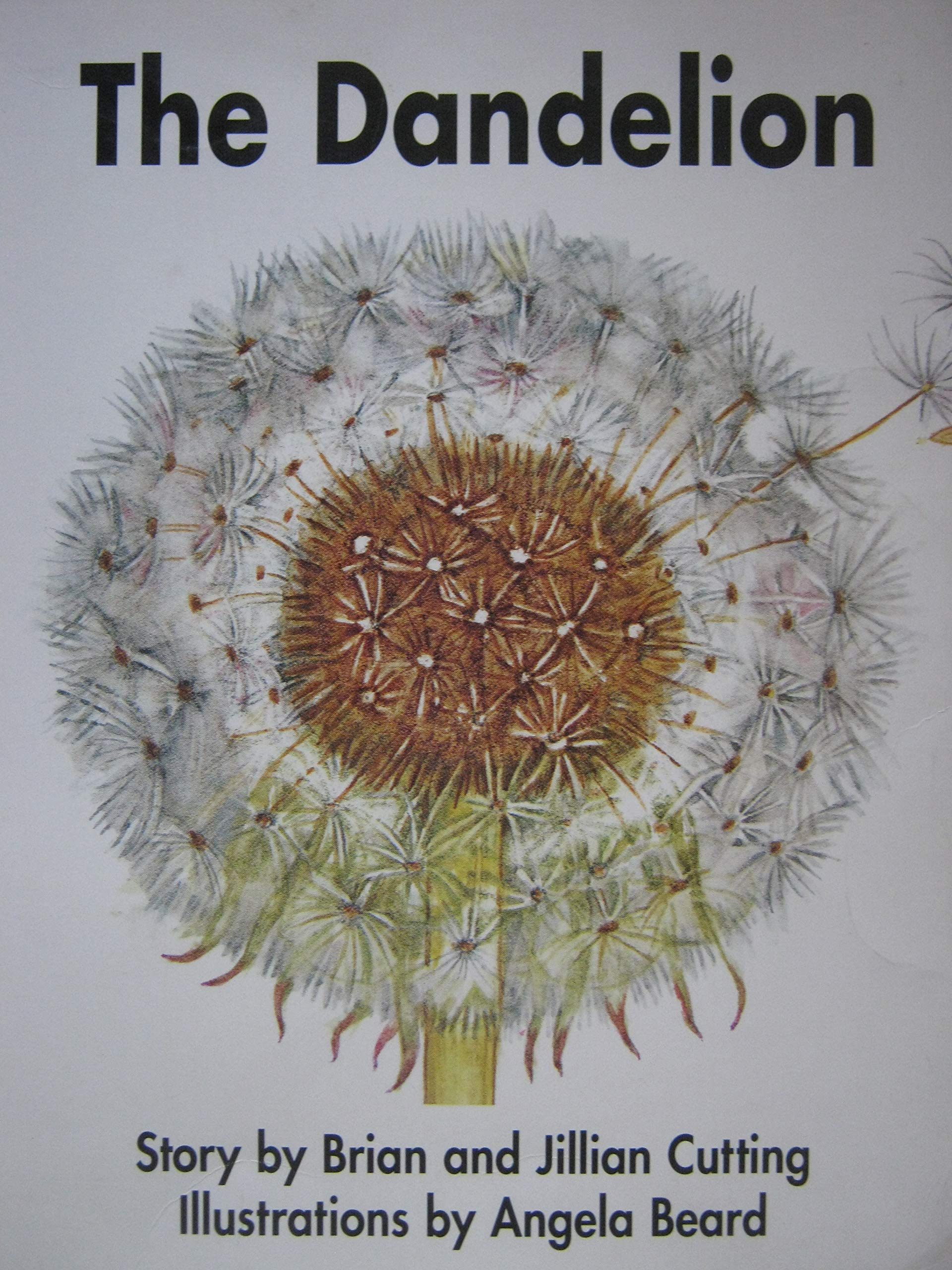 The Dandelion (Big Book)