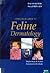 A practical guide to feline dermatology