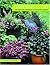 Gardens to Go: Creating and Designing a Container Garden by Sydney Eddison (2005-04-15)