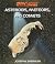 Asteroids, Meteors, and Comets (Space!) by Josepha Sherman (2009-09-01)