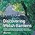 Discovering Welsh Gardens by Stephen Anderton (2009-09-16)